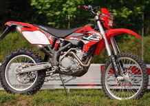 Betamotor RR 250 2T (2006)