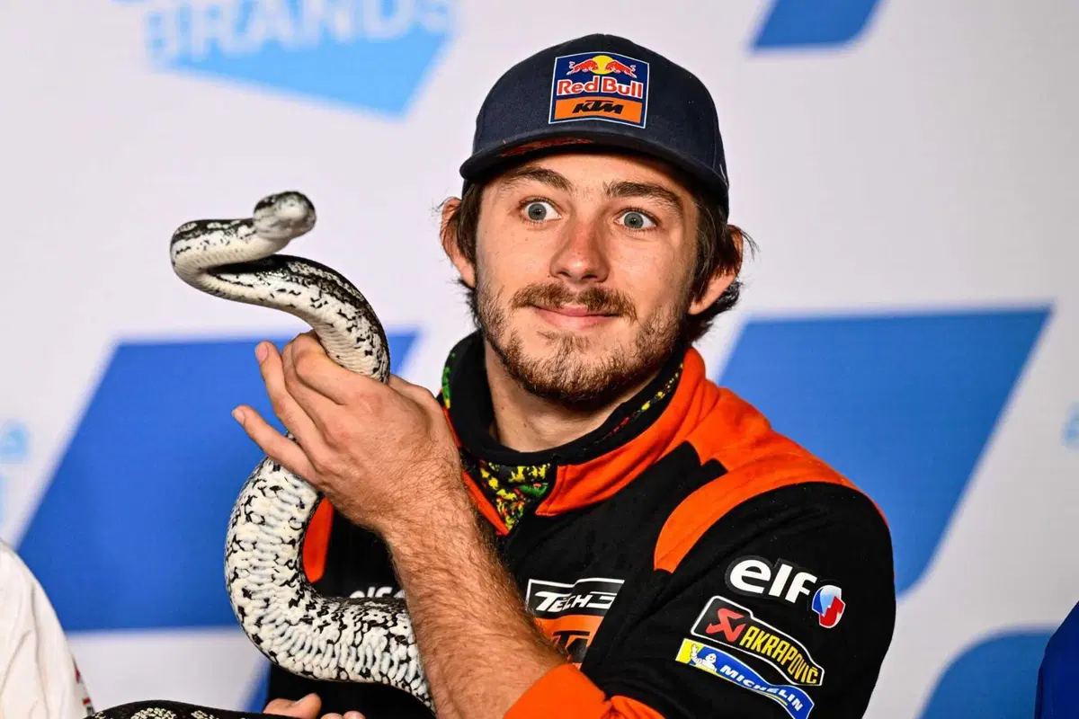 MotoGP 2022. GP d'Australia. Serpenti, koala, piloti che si preoccupano di altri piloti e altre cose da Phillip Island [GALLERY] (14)