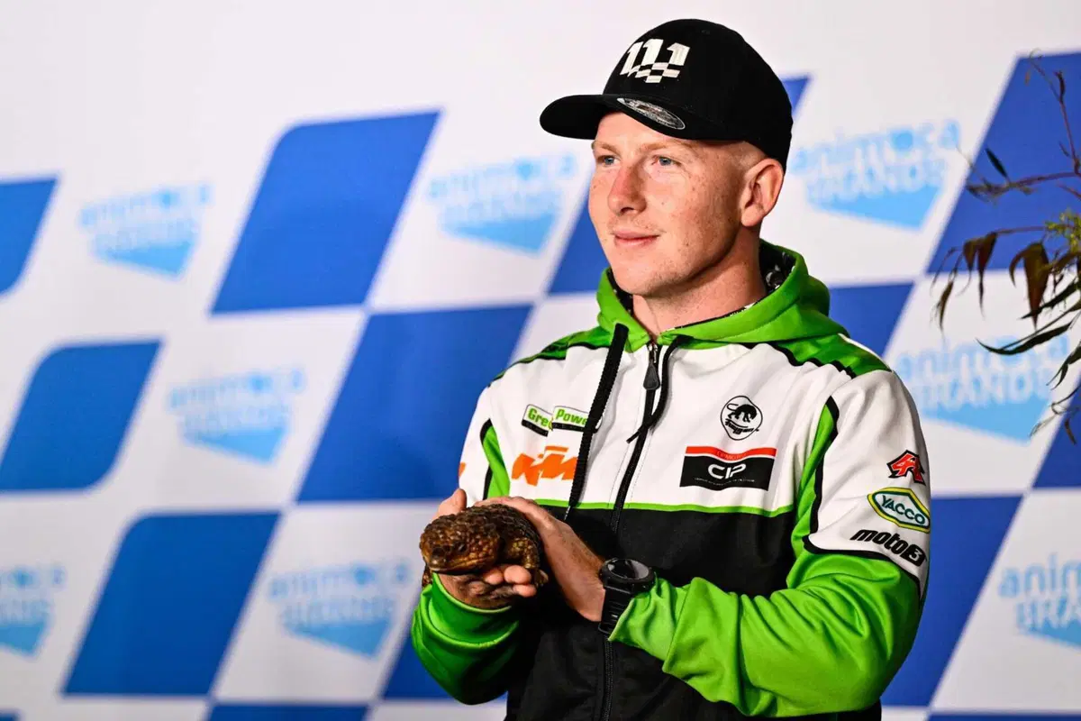 MotoGP 2022. GP d'Australia. Serpenti, koala, piloti che si preoccupano di altri piloti e altre cose da Phillip Island [GALLERY] (15)