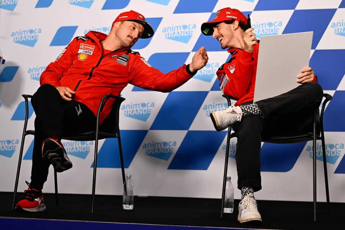 MotoGP 2022. GP d'Australia. Serpenti, koala, piloti che si preoccupano di altri piloti e altre cose da Phillip Island [GALLERY] (17)