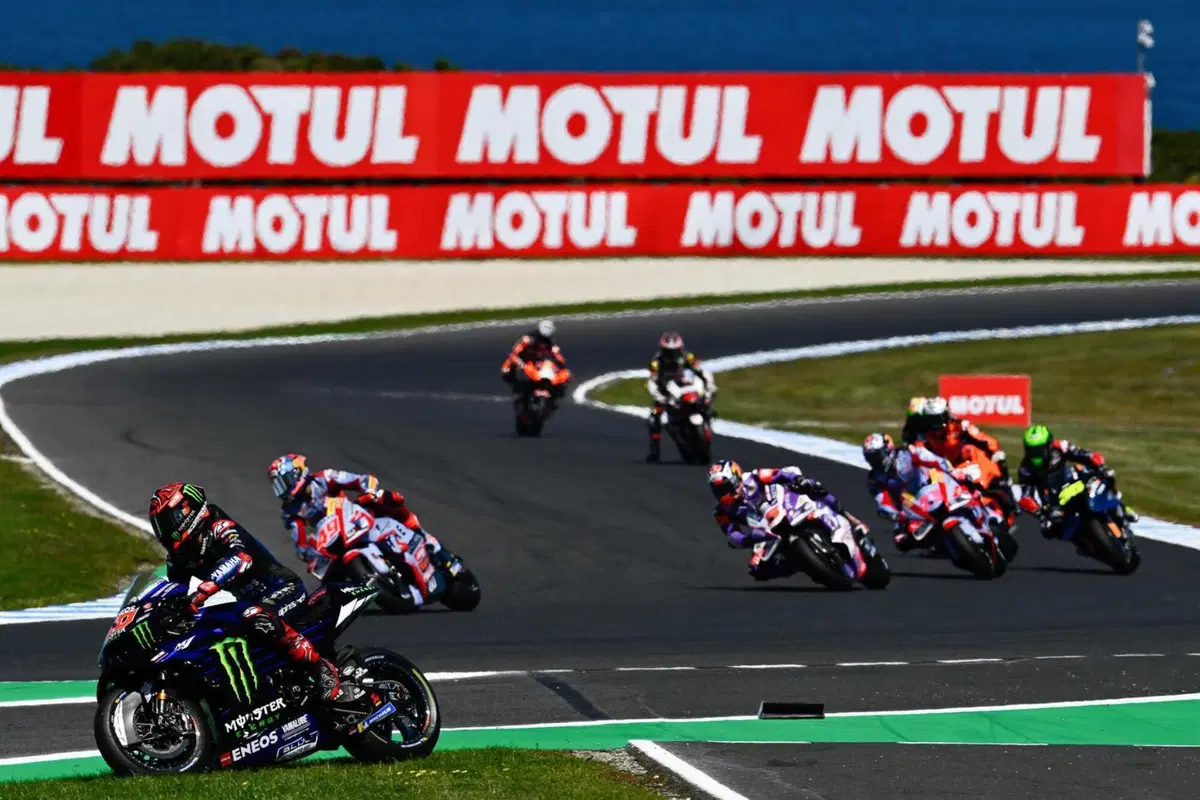 MotoGP 2022. GP d'Australia. Serpenti, koala, piloti che si preoccupano di altri piloti e altre cose da Phillip Island [GALLERY] (19)