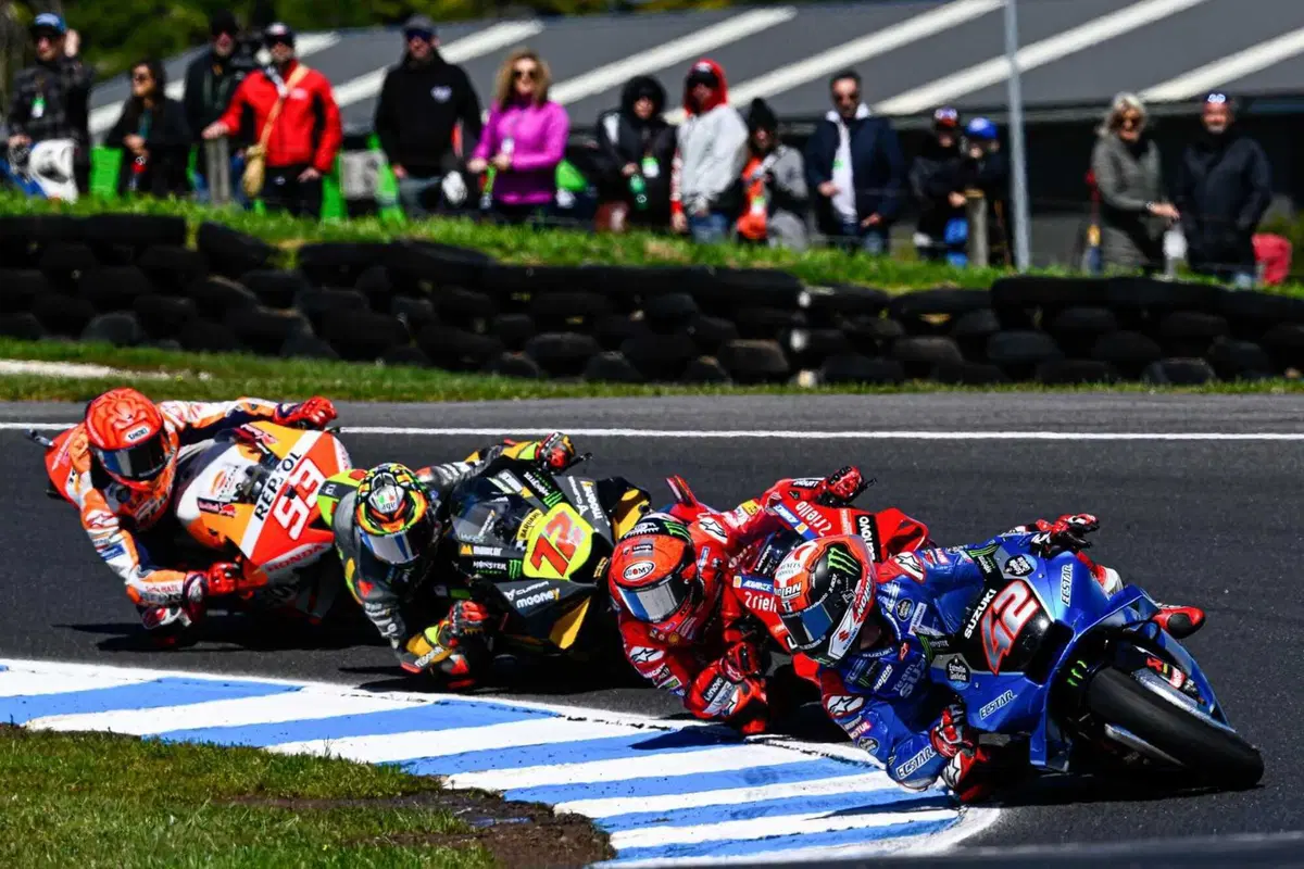 MotoGP 2022. GP d'Australia. Serpenti, koala, piloti che si preoccupano di altri piloti e altre cose da Phillip Island [GALLERY] (21)