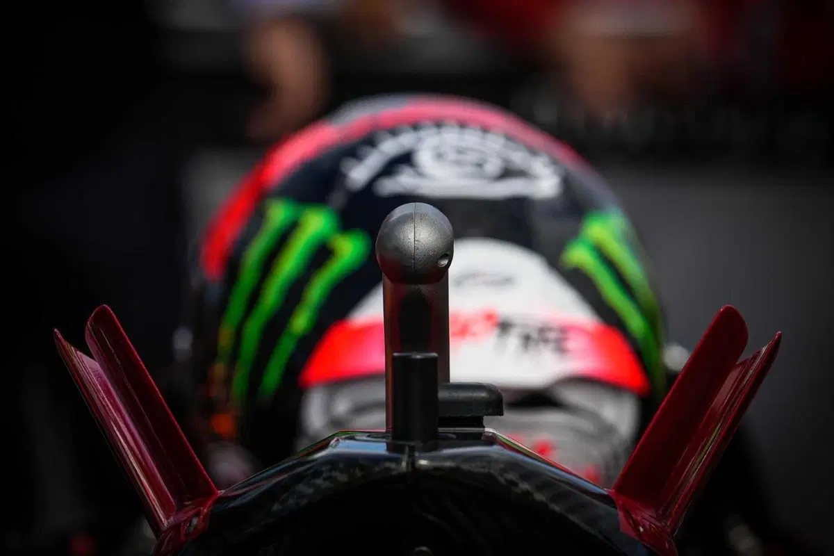 MotoGP 2022. GP d'Australia. Serpenti, koala, piloti che si preoccupano di altri piloti e altre cose da Phillip Island [GALLERY] (31)