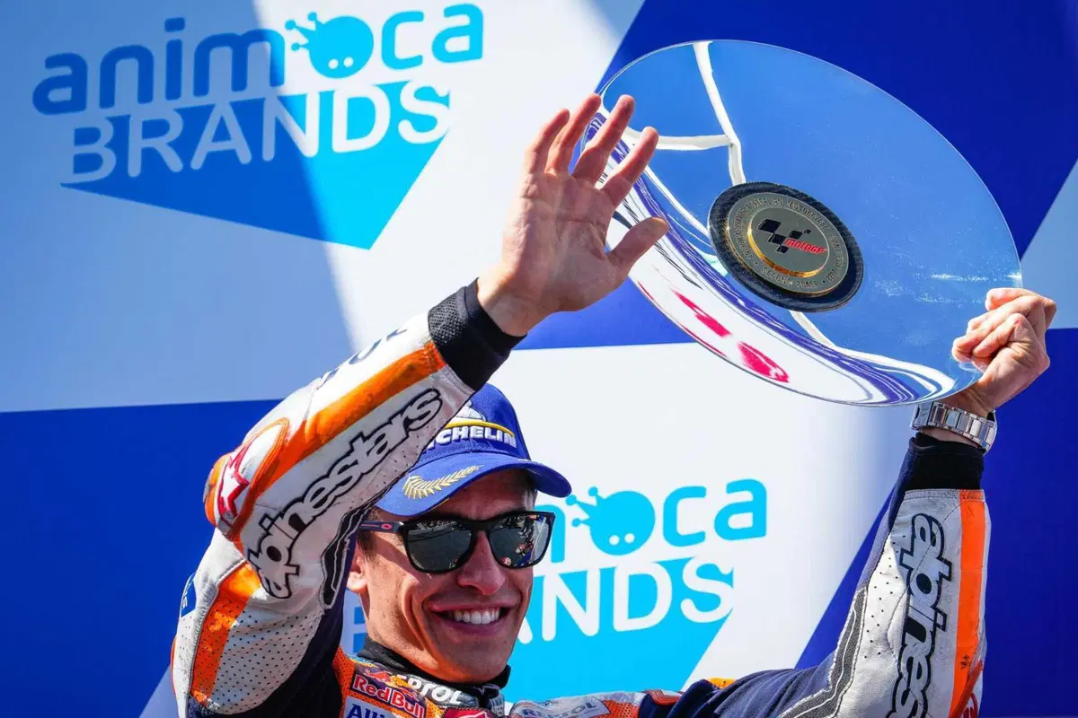 MotoGP 2022. GP d'Australia. Serpenti, koala, piloti che si preoccupano di altri piloti e altre cose da Phillip Island [GALLERY] (37)