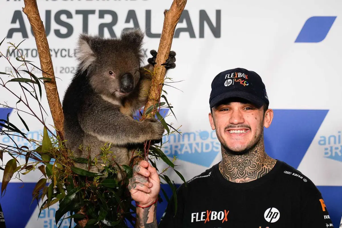 MotoGP 2022. GP d'Australia. Serpenti, koala, piloti che si preoccupano di altri piloti e altre cose da Phillip Island [GALLERY] (43)