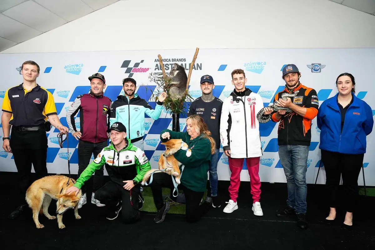 MotoGP 2022. GP d'Australia. Serpenti, koala, piloti che si preoccupano di altri piloti e altre cose da Phillip Island [GALLERY] (44)