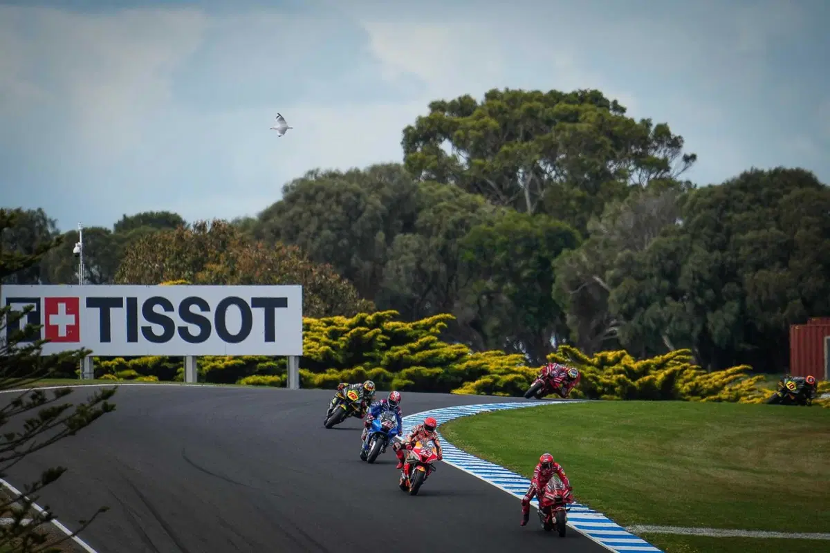 MotoGP 2022. GP d'Australia. Serpenti, koala, piloti che si preoccupano di altri piloti e altre cose da Phillip Island [GALLERY] (55)