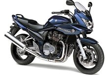 Suzuki GSF 1200S Bandit (2006)