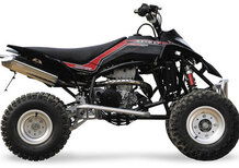 GASGAS Wild HP 450