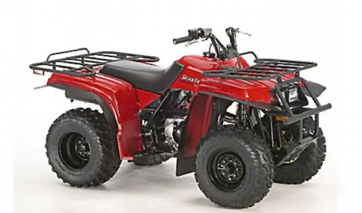 Yamaha Bear Tracker 250 X Bear Tracker 250 X