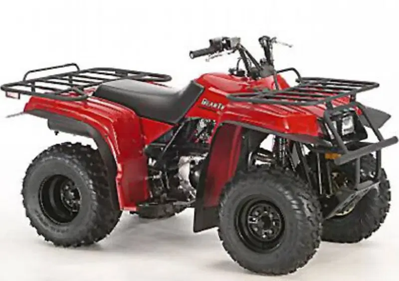 Yamaha Bear Tracker 250 X Bear Tracker 250 X