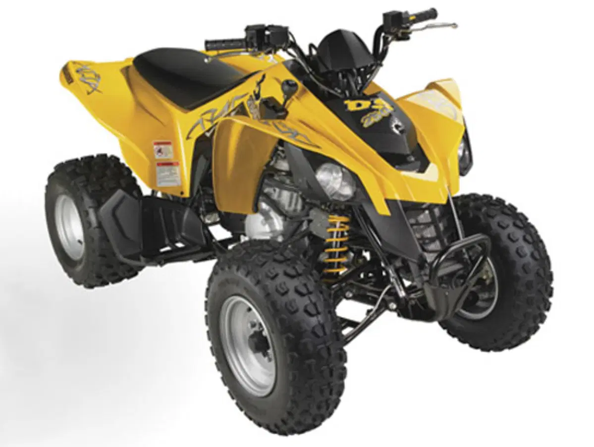 Can-Am Brp DS 250 BD DS 250 BD