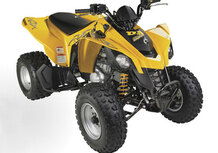 Can-Am Brp DS 250 BD