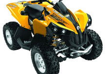 Can-Am Brp Renegade 800 EFI