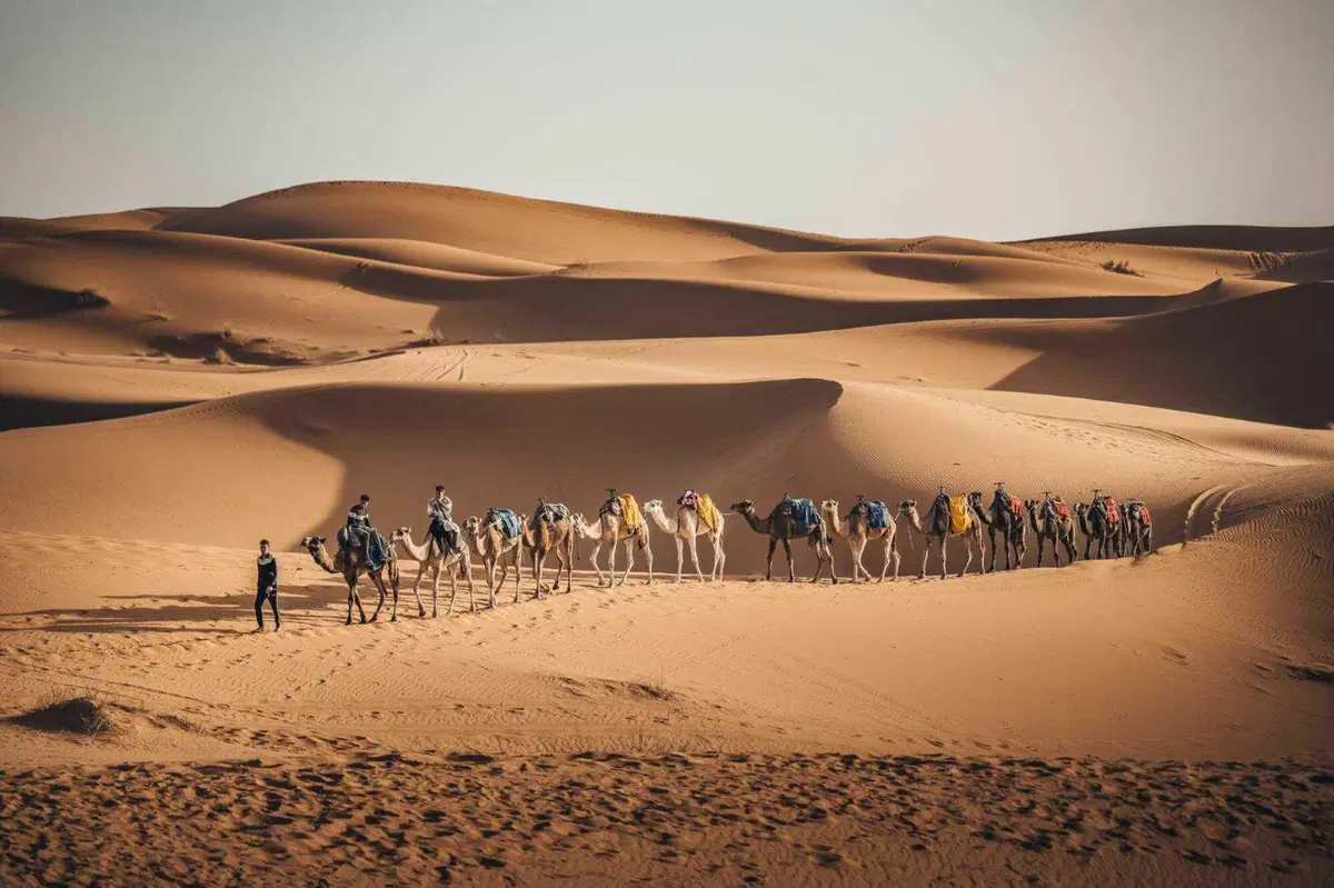 Africa Eco Race 22. D2, Tagounite. Il Giorno del Gigante (7)