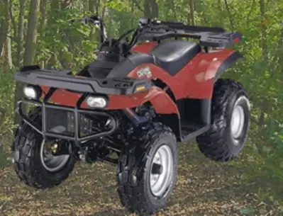 E-Ton Yukon 150