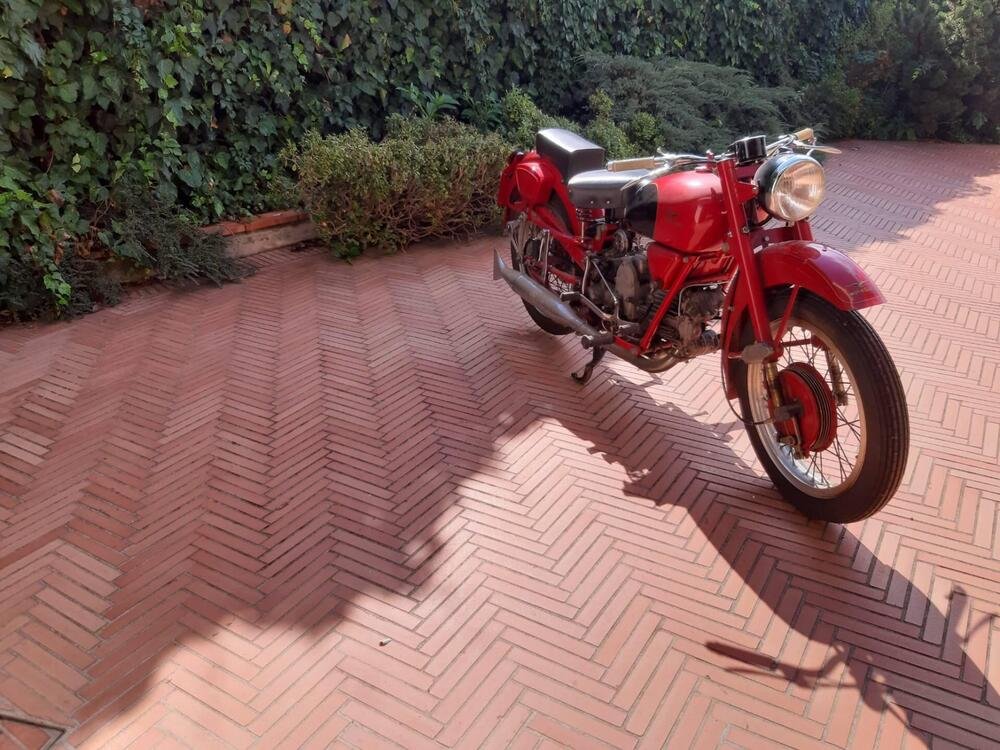 Moto Guzzi 500 Falcone (4)
