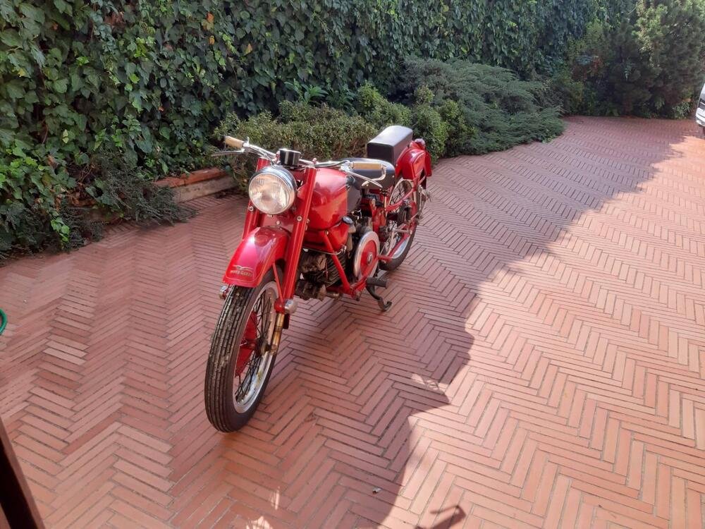 Moto Guzzi 500 Falcone (5)