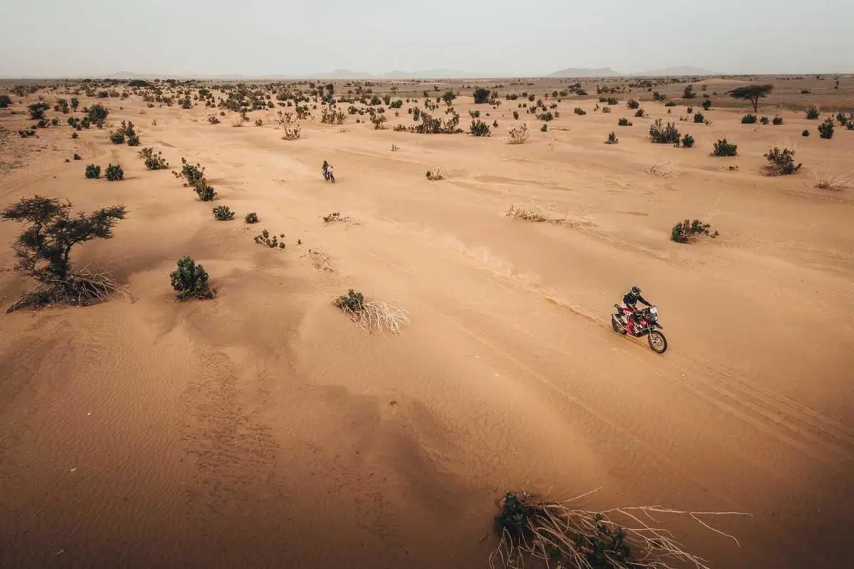 Africa Eco Race 22. D8. Mauritania Magnifica, Svitko-Gerini Duello Arroventato! [GALLERY e VIDEO] (58)