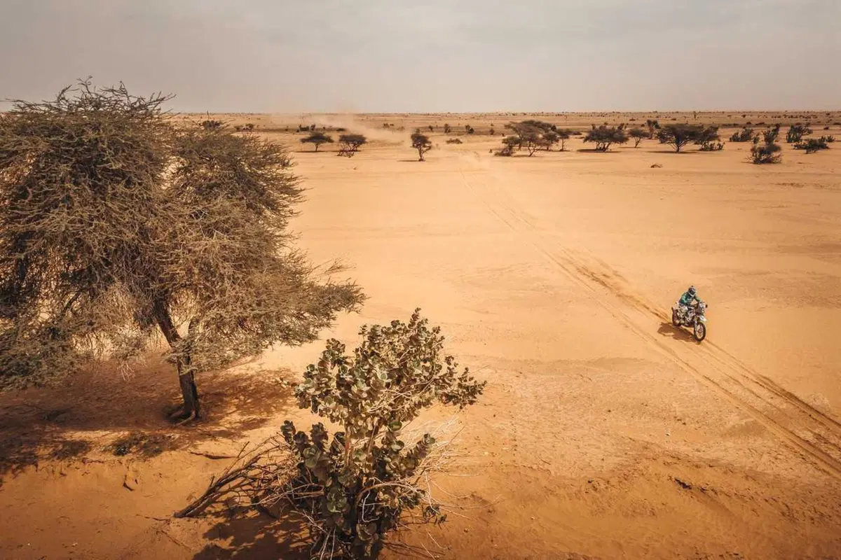 Africa Eco Race 22. D8. Mauritania Magnifica, Svitko-Gerini Duello Arroventato! [GALLERY e VIDEO] (62)