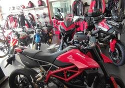 Ducati Hypermotard 950 (2022 - 24) nuova