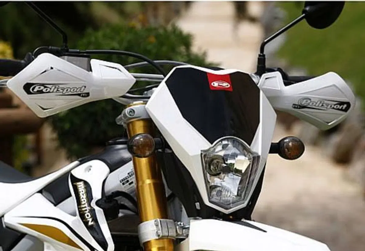 Rieju Marathon 125 Motard Marathon 125 Motard Pro (2009 - 17) (5)