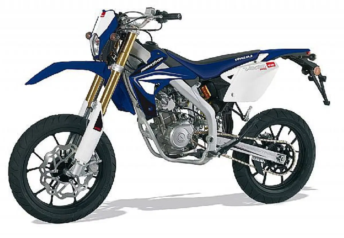 Rieju Marathon 125 Motard Marathon 125 Motard Pro (2009 - 17) (8)