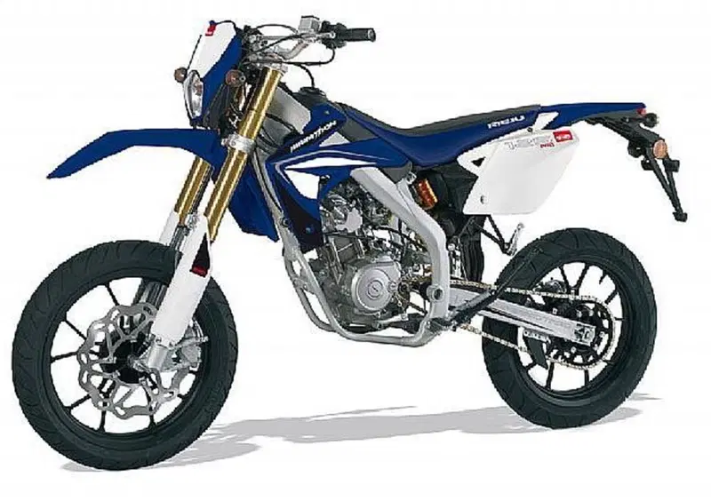 Rieju Marathon 125 Motard Marathon 125 Motard Pro (2009 - 17) (8)