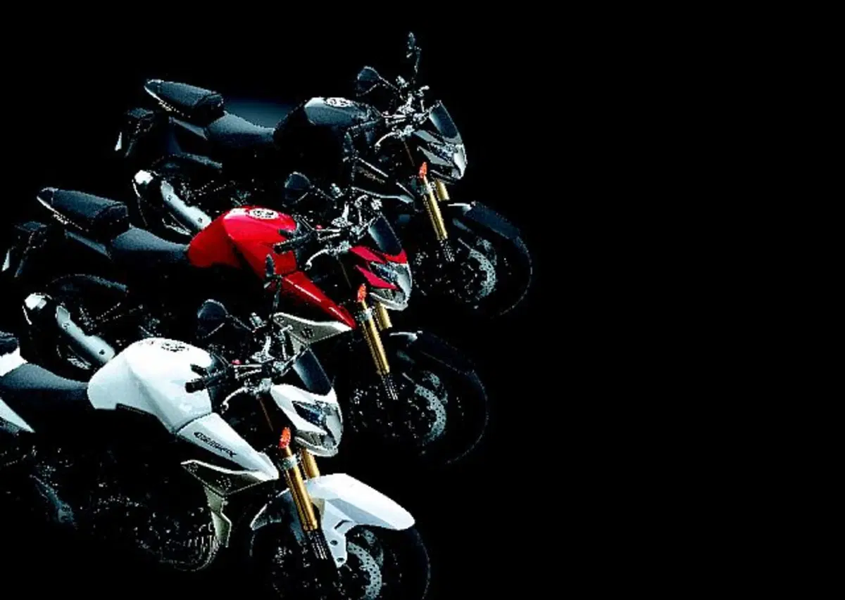 Suzuki GSR 750 GSR 750 (2010 - 15) (3)