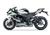 Kawasaki Ninja 1000 ZX-10R (2021 - 25) (6)