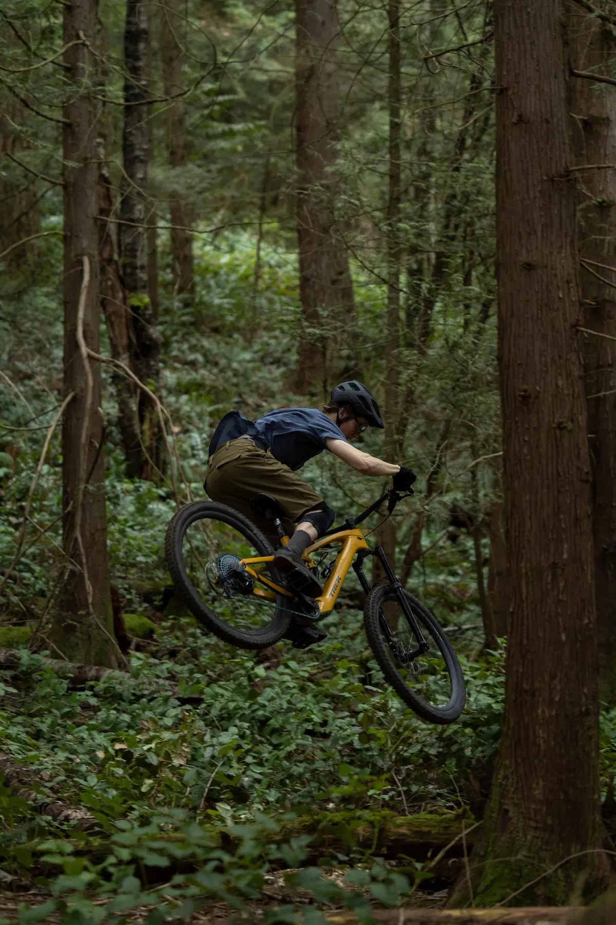 Trek Fuel EXe. Come va il motore magico di TQ? (2)