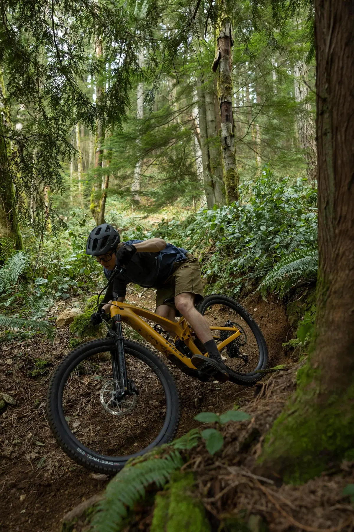 Trek Fuel EXe. Come va il motore magico di TQ? (6)