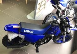 Yamaha PW 50 (2023) nuova
