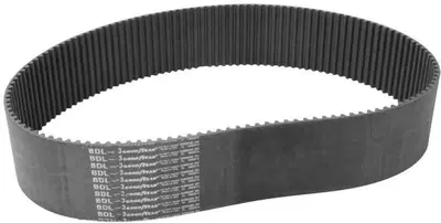 Cinghia primaria larga 3" (75 mm) da 144 denti pas 
