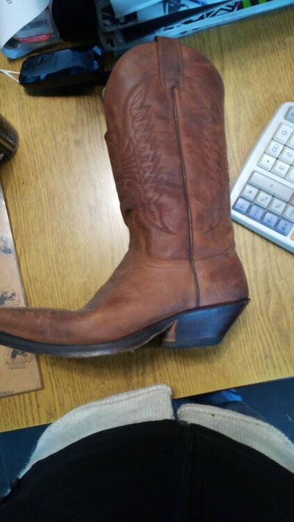 Stivale texano Sendra (2)