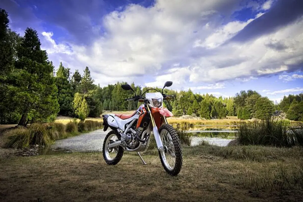 Honda CRF 250L CRF 250L (2012 - 13) (3)