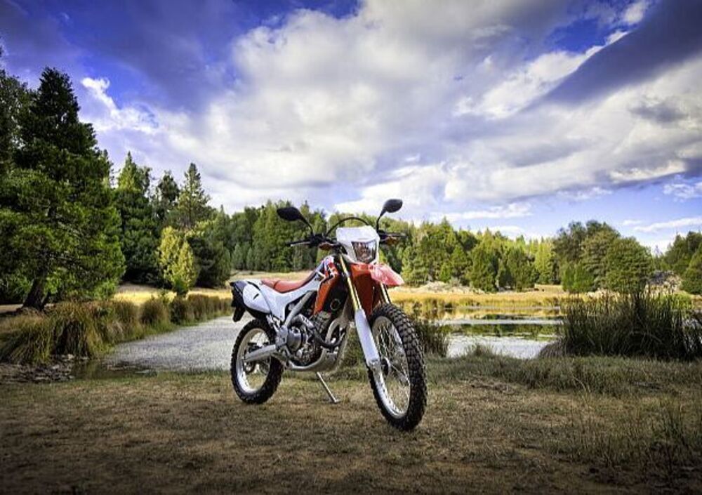 Honda CRF 250 L (2012 - 13) (3)