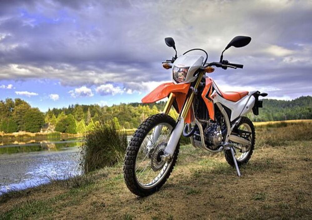 Honda CRF 250 L (2012 - 13) (4)