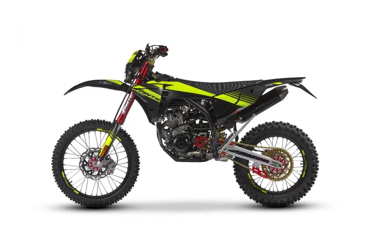 Fantic Motor XEF 250 XEF 250 Enduro Trail (2022) (6)