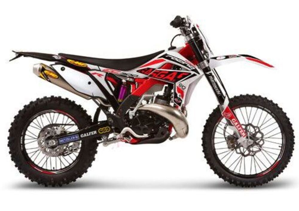 GASGAS EC 300 H 4T Racing (2012 - 13) (2)