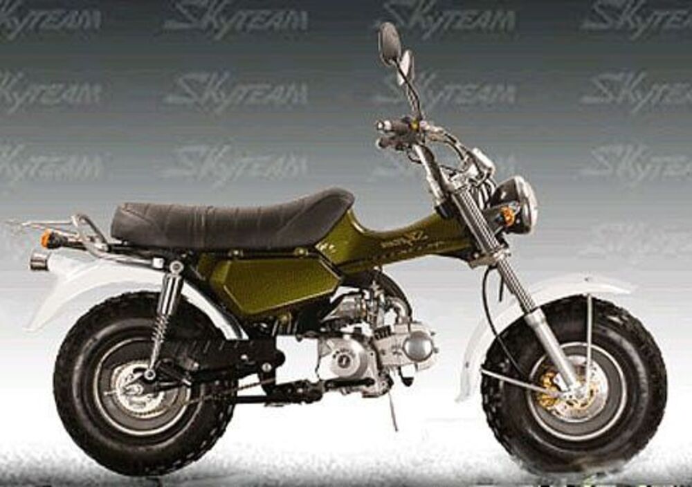 Sky Team T-Rex ST125-11