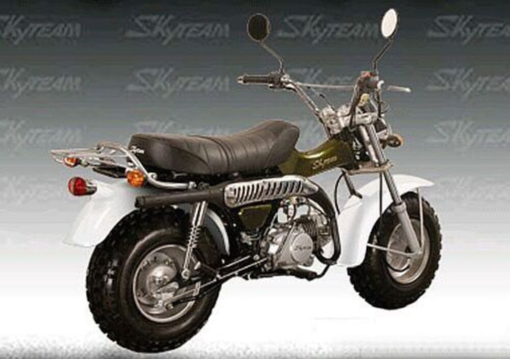 Sky Team T-Rex ST125-11 (2)