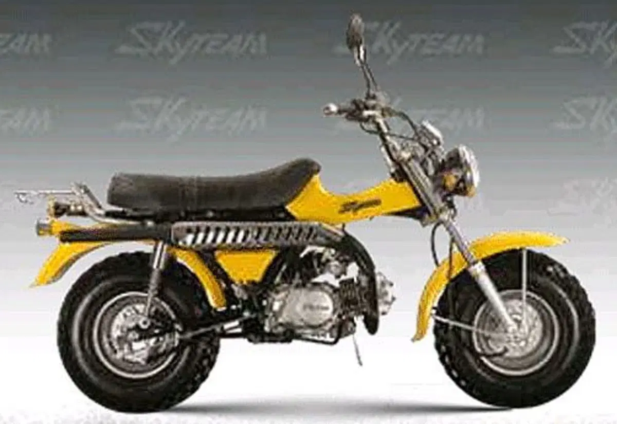 Sky Team T-Rex T-Rex ST125-11 (3)