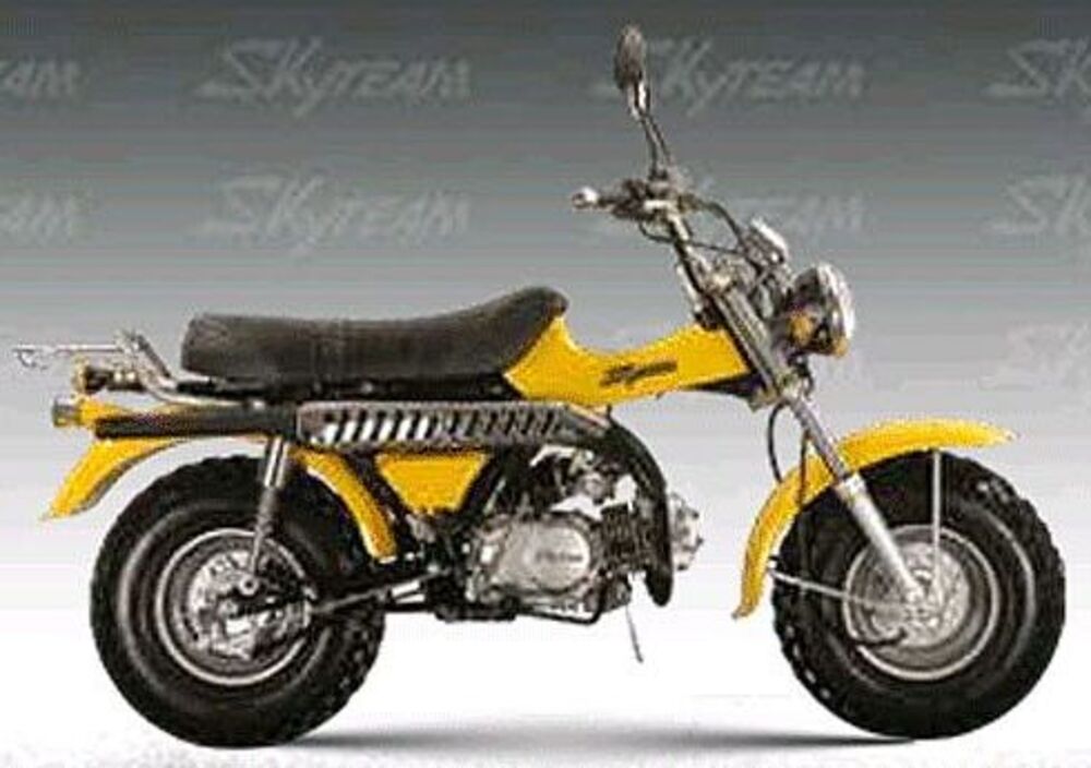 Sky Team T-Rex ST125-11 (3)