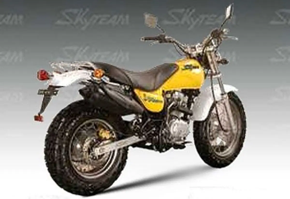 Sky Team V-Raptor V-Raptor 125-2 (3)