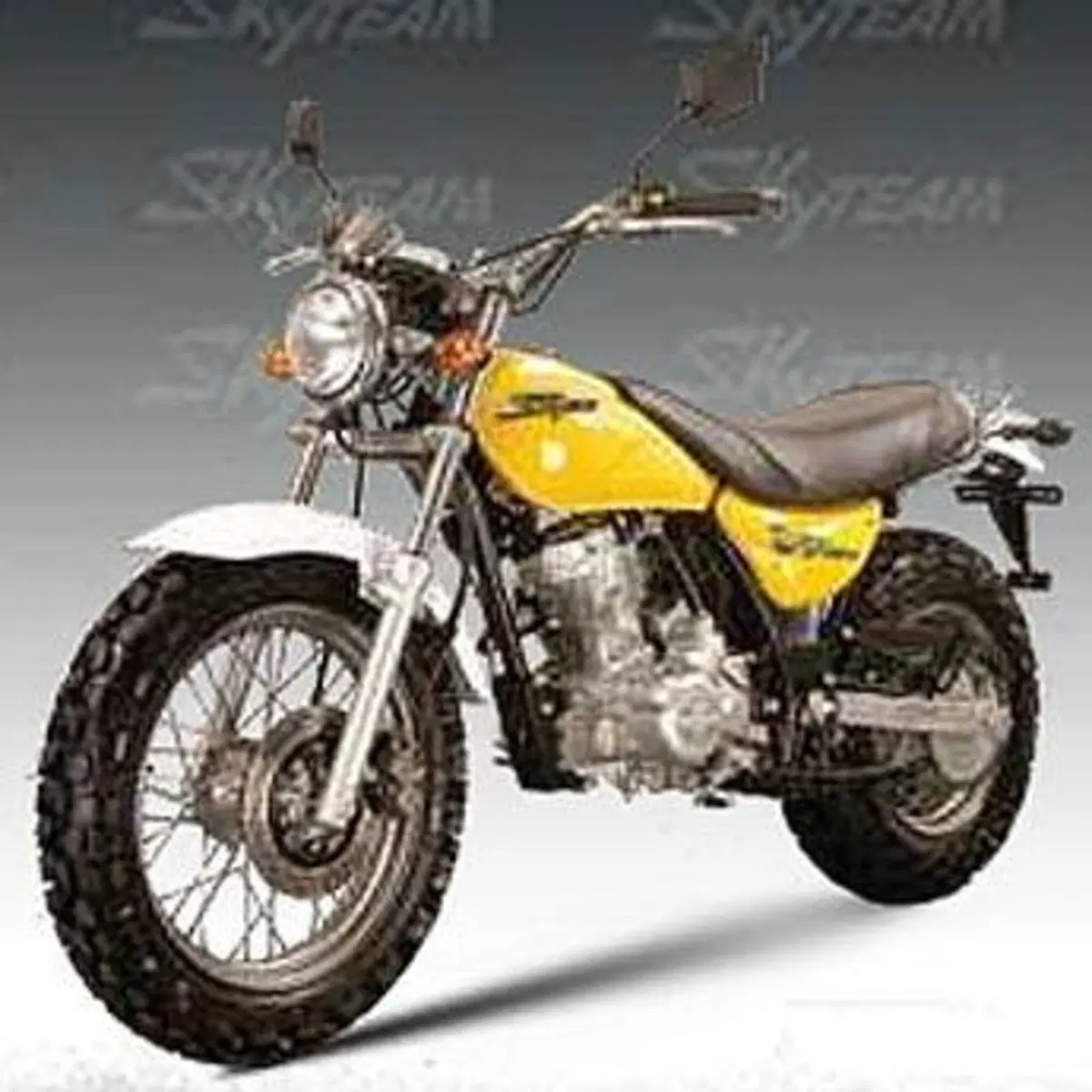Sky Team V-Raptor 250-2