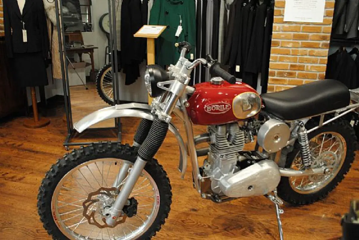 Borile B 500 B 500 Ricki (2012 - 17) (4)