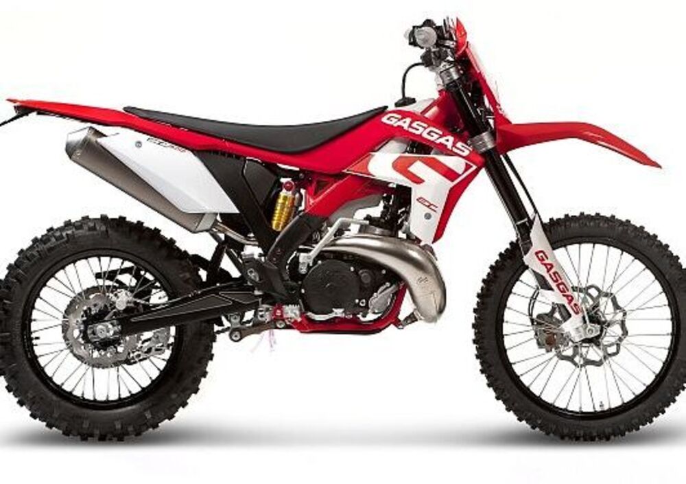 GASGAS EC 250 H (2013 - 14) (2)