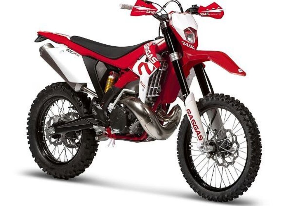 GASGAS EC 250 H (2013 - 14) (4)