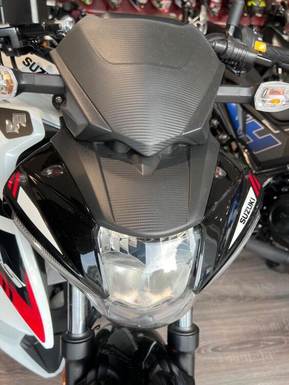 Suzuki GSX-S125 (2022 - 24) (4)